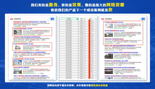專業SEO優化推廣軟件服務機構的技術推廣與軟件開發策略